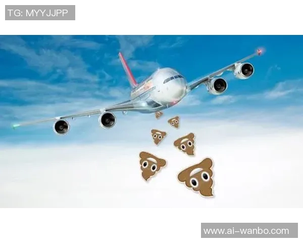 最疯狂的旅行体验皮尔斯分享私人飞机与普通客机厕所的奇妙对比