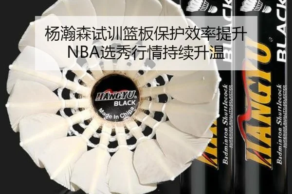杨瀚森试训篮板保护效率提升 NBA选秀行情持续升温 | MANBETX